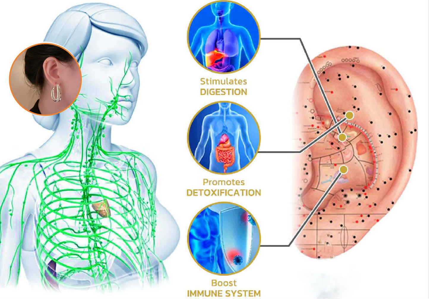 🔥Lymphatic fashion Oval Earrings（Limited Time Discount 🔥 Last Day）