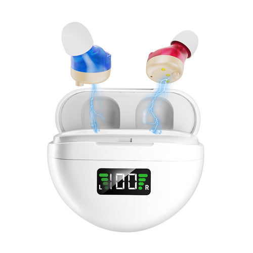 NESLEMY™  hearing aids